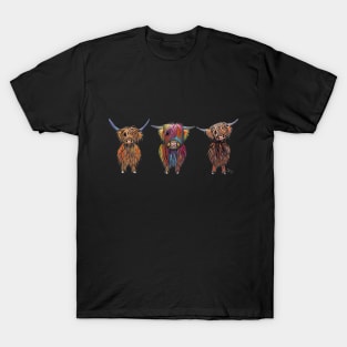 HaiRY HiGHLaND CoWS ' ALL THRee ' T-Shirt